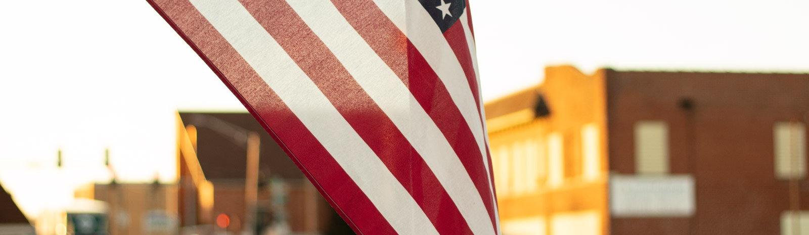 Poplar Bluff view with flag